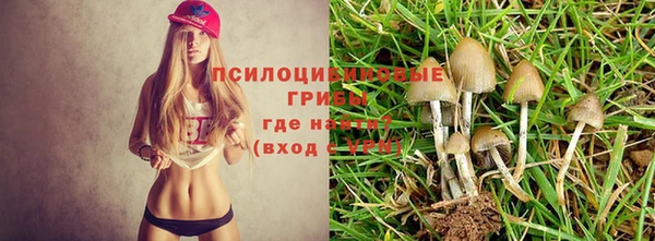 Альфа ПВП Покровск