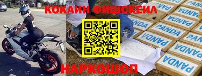 крисы Коммунар