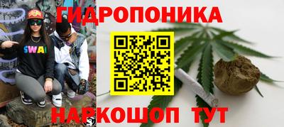 крисы Коммунар