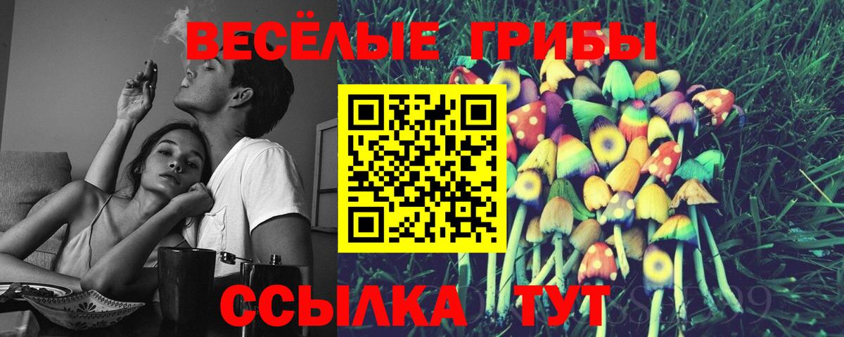 МЕФ   Конопля  МАРИХУАНА  Снежинск  Кокаин  Вход с VPN  ГАШИШ  A PVP СК кристаллы 