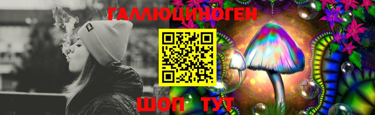 Псилоцибиновые грибы GOLDEN TEACHER  купить наркотик  Снежинск  Вход с VPN 